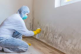 Best Biohazard Mold Removal  in Cockeysville, MD